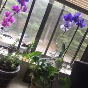 Meet your Posher, Dani