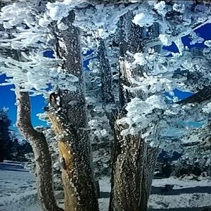 Meet your Posher, Brittney