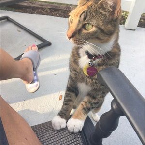 Meet your Posher, Annette