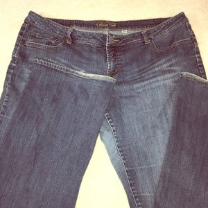 Plus Coldwater Creek 5-pocket Jeans  Size 20