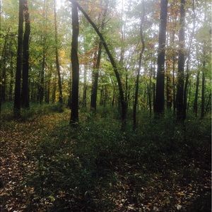 Meet your Posher, Alesha