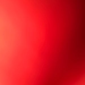 Meet your Posher, Daisy