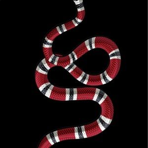 Meet your Posher, Simon