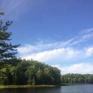 Meet your Posher, Liv