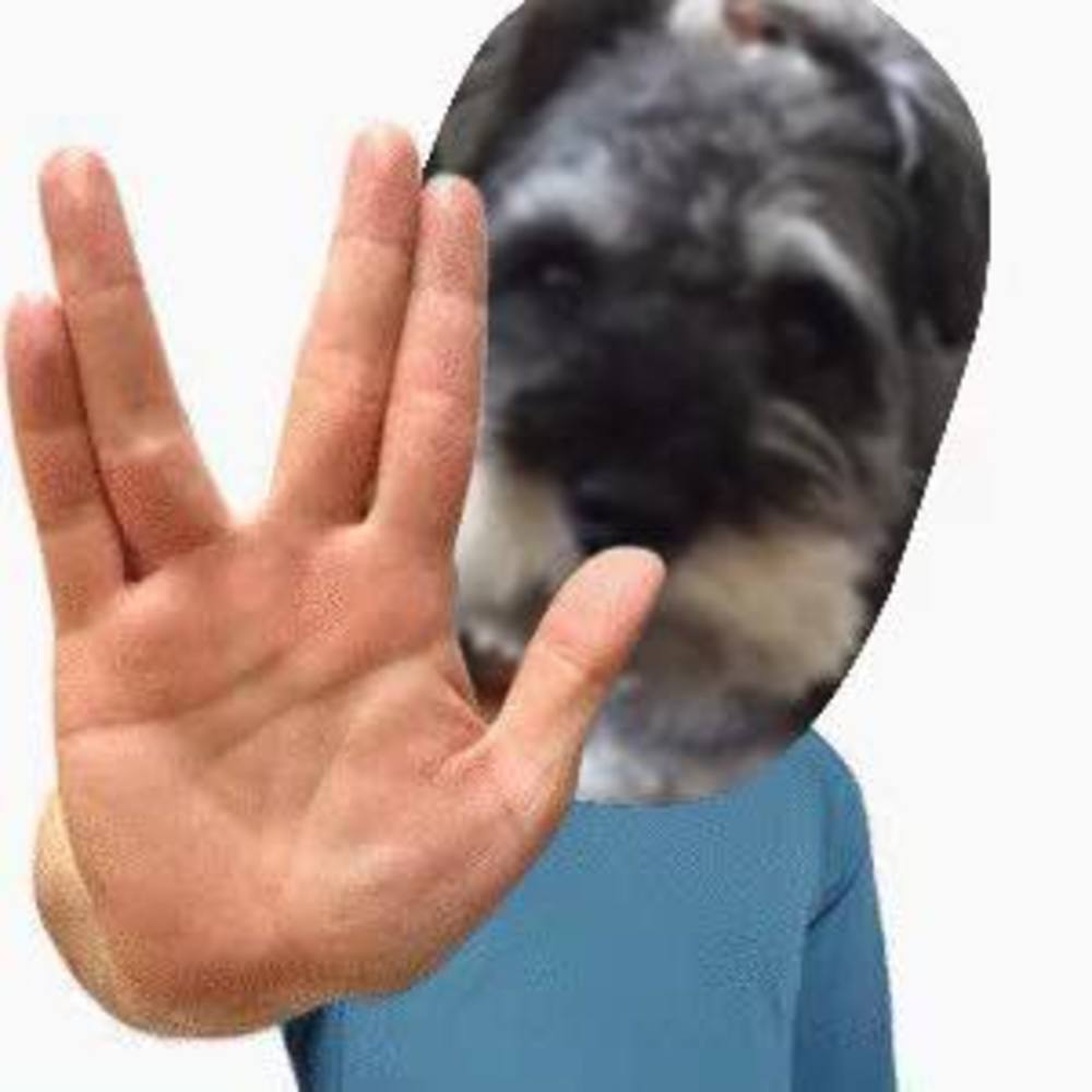 Meet your Posher, Deborah