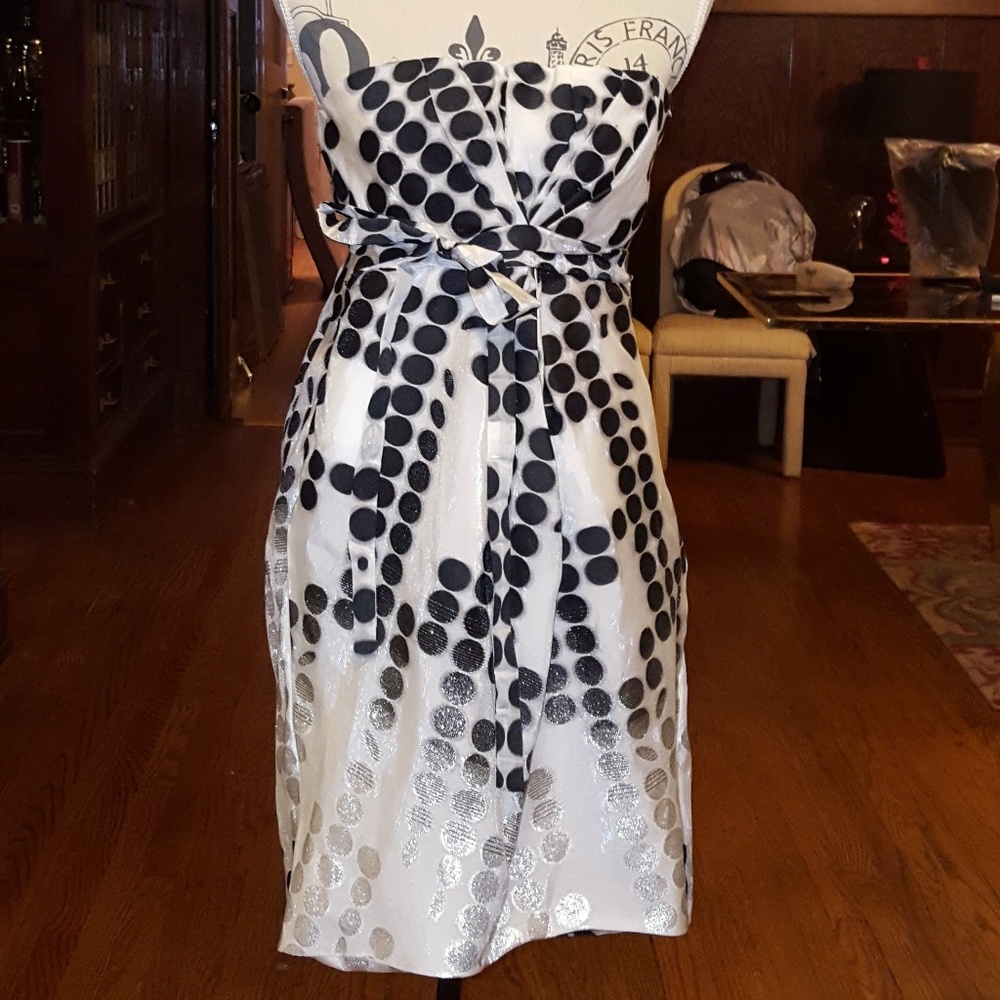 Diana VonFurstenberg Antonella polka dot dress