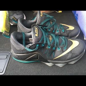 Lebron Low size 12