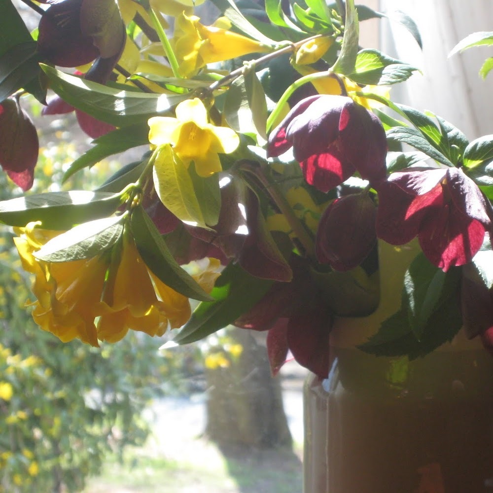 Meet your Posher, Meg