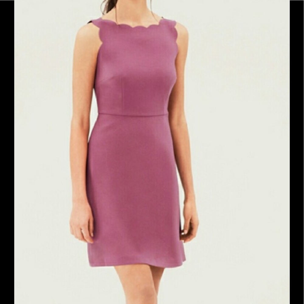 Loft Scalloped Swing Dress