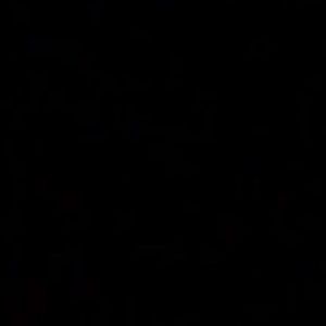 Meet your Posher, Dominic