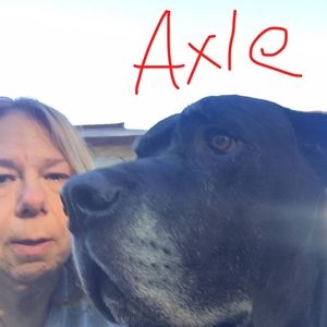 Meet your Posher, Nancy