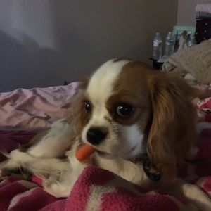 Meet your Posher, Zachary