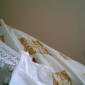 Meet your Posher, Tina