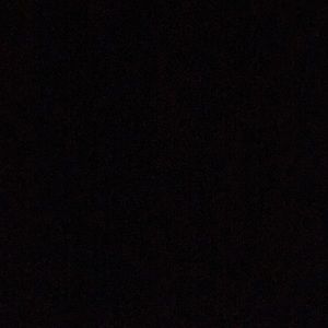 Meet your Posher, Oscar