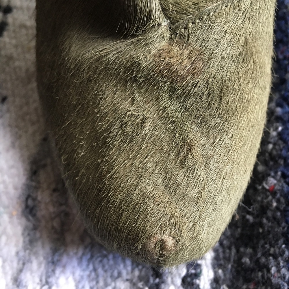 Senso Diffusion Booties - image 5