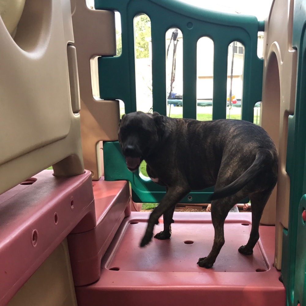 Meet your Posher, Lindsey