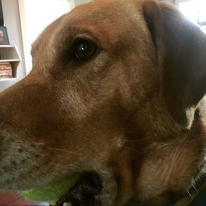 Meet your Posher, Sebasd