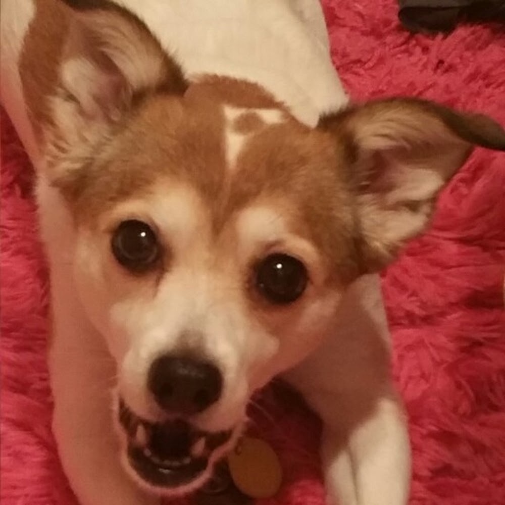 Meet your Posher, Victoria