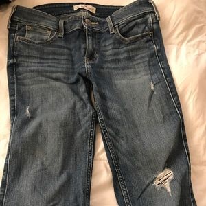 Hollister Jean