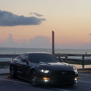 Meet your Posher, Ronnie