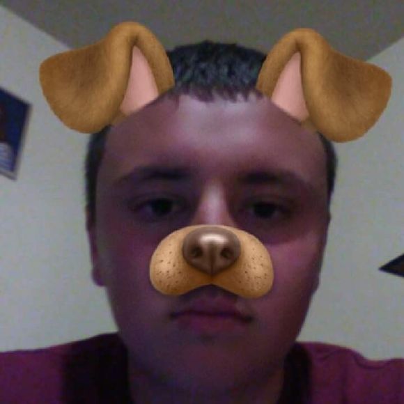 Meet your Posher, Freddie - Picture 1 of 1