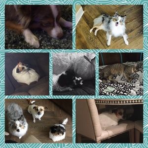 Meet your Posher, Brooke