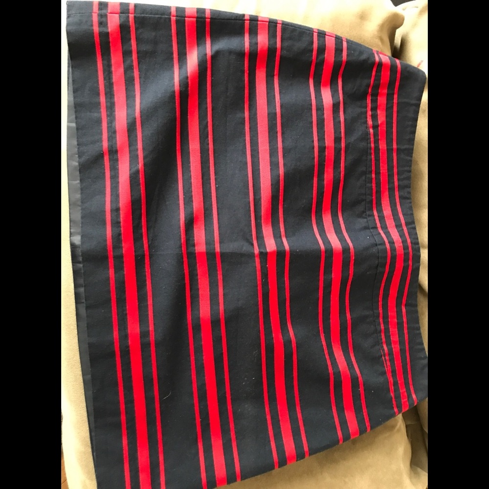 LOFT Skirt