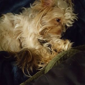 Meet your Posher, Pamela