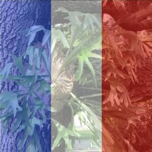 Meet your Posher, Sylvie