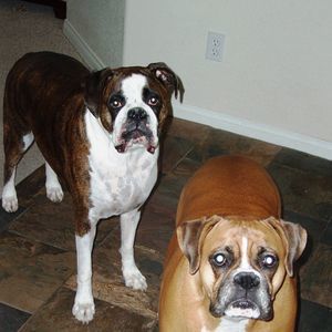 Meet your Posher, Scott