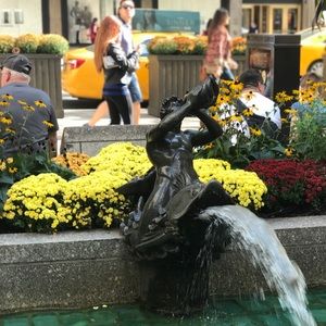 Meet your Posher, Jesse