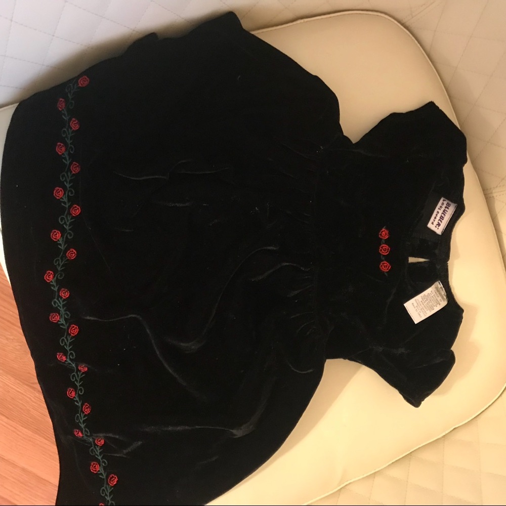 Black velvet dress with red flowers