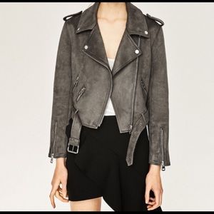 Grey suede Zara Moto jacket