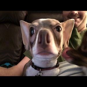 Meet your Posher, Rob