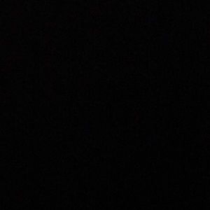 Meet your Posher, Chaz