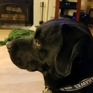 Meet your Posher, Dustin