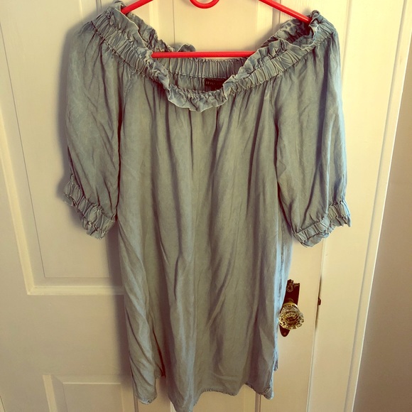 style envy denim dress