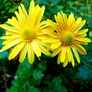 Meet your Posher, Mk