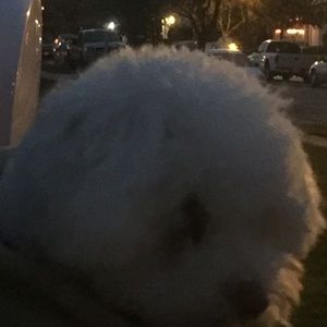 Meet your Posher, Beth anne