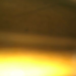 Meet your Posher, Tyasia