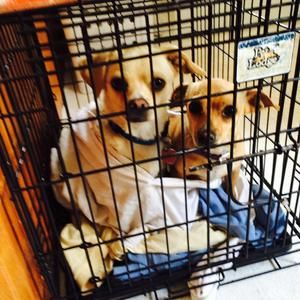 Meet your Posher, Paula