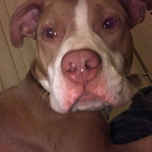 Meet your Posher, Thalia