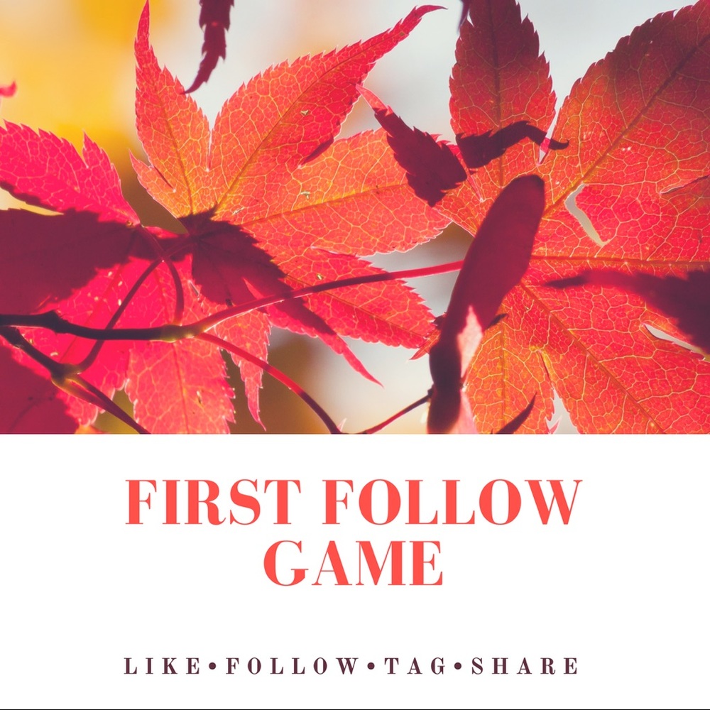 🌟✨💗THANK YOU FOR HELPING ME REACH MY GOAL! 💗✨🌟