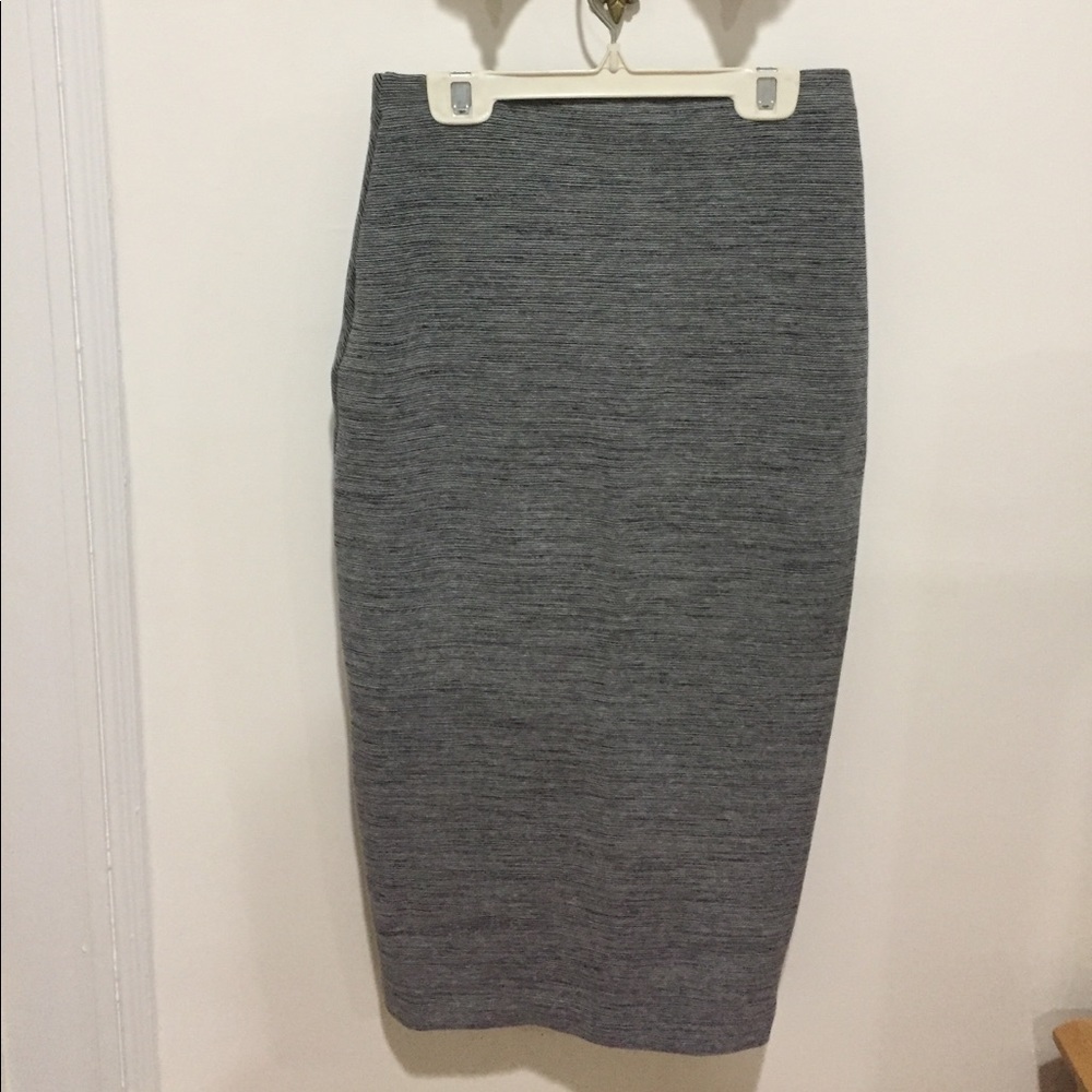 Zara Bodycon Midi Skirt