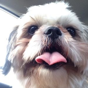 Meet your Posher, Jordan