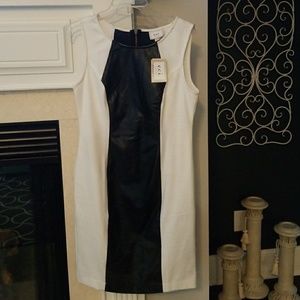 Ladies Black and White Dress