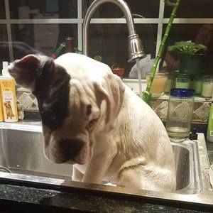 Meet your Posher, Ginny