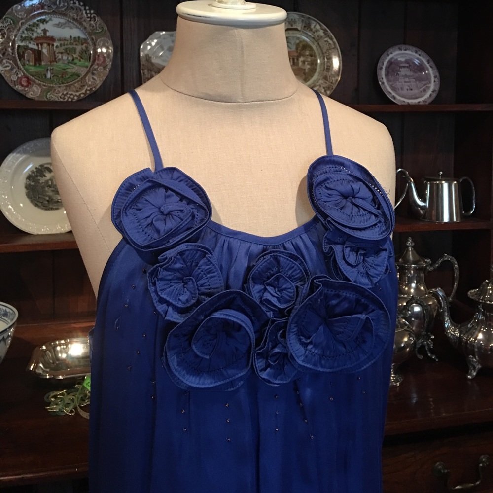 NWT Blue Esley Dress
