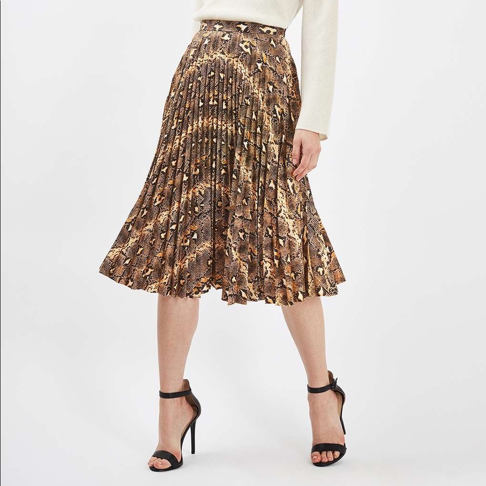 Leather Pleated Skirt