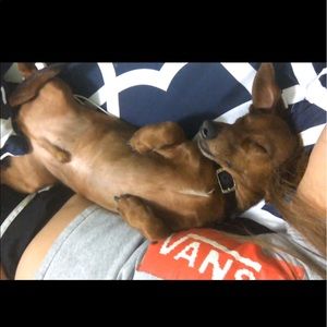 Meet your Posher, Arturo